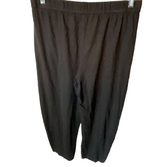 Eileen Fisher Black Small Women's Lightweight Ankle Length Pants Pockets‎ - Picture 2 of 6